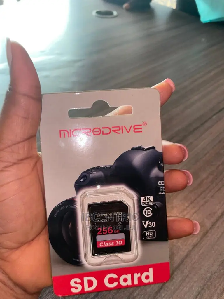 Microdrive 256GB Camera SD Card