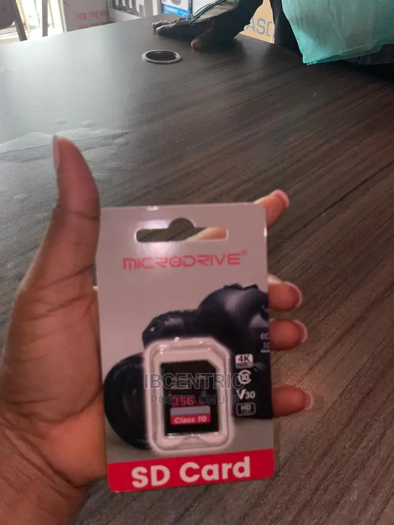 Microdrive 256GB Camera SD Card