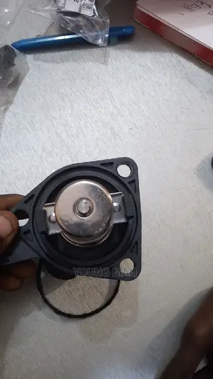 2010-2017 Honda Accord, Civic, CRV, Fit Engine Thermostats