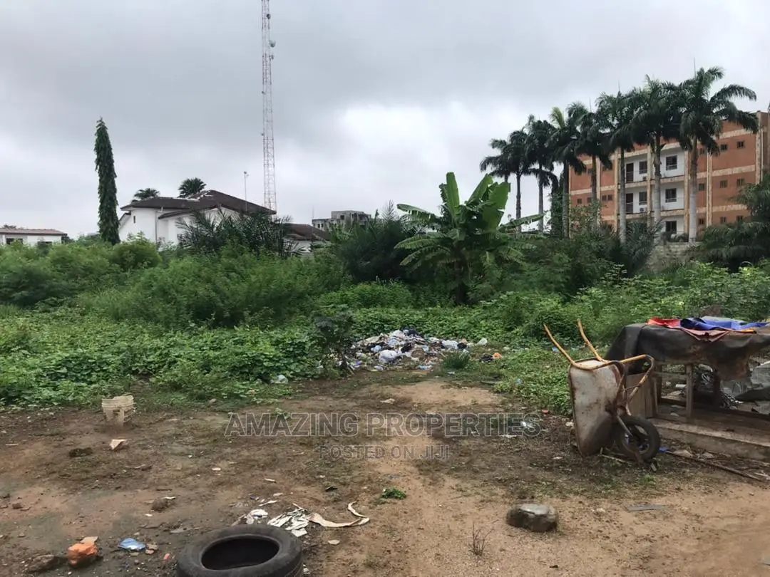 9 Plots of Titled Lands at Madina Obojo for Sale