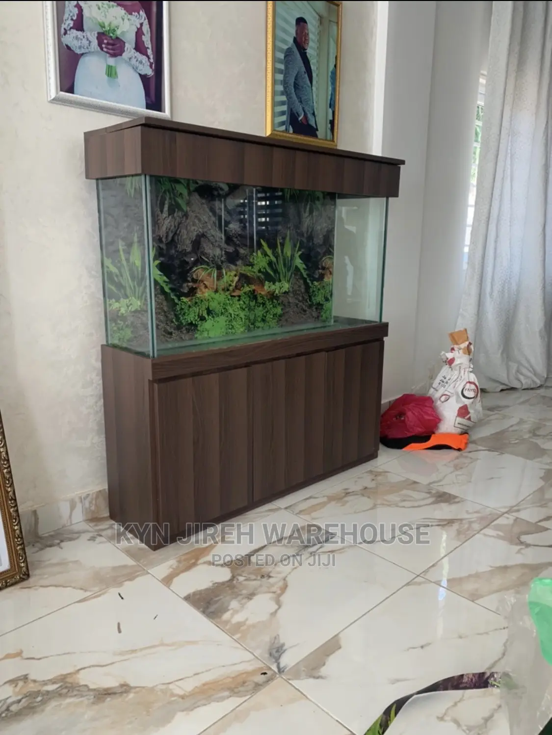Mr Brown Aquaruim Setup With Fishes