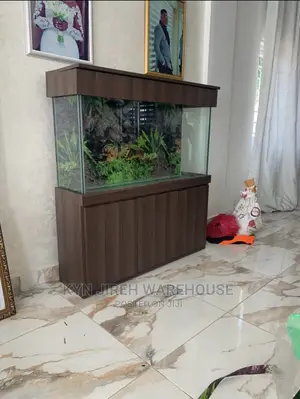 Mr Brown Aquaruim Setup With Fishes