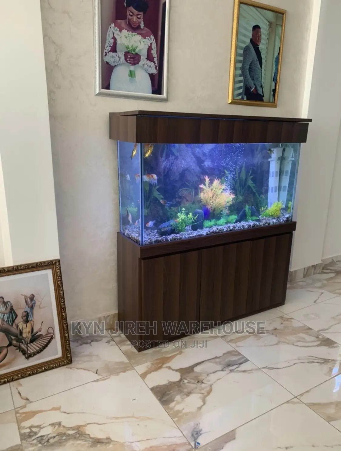 Mr Brown Aquaruim Setup With Fishes