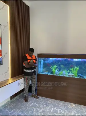 Dansoman Aquarium With Fishes