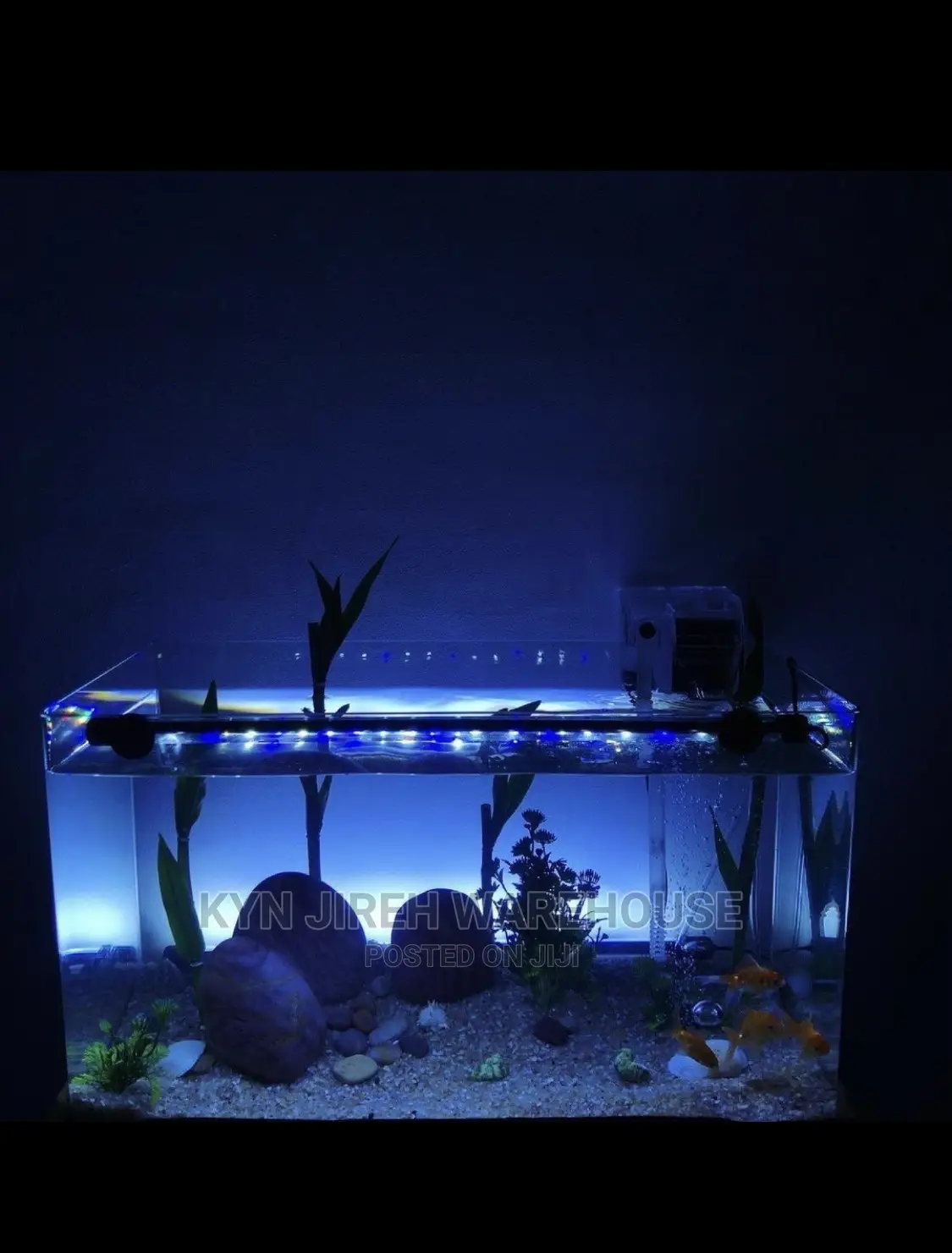 Tabletop Aquarium Setup With Fishes