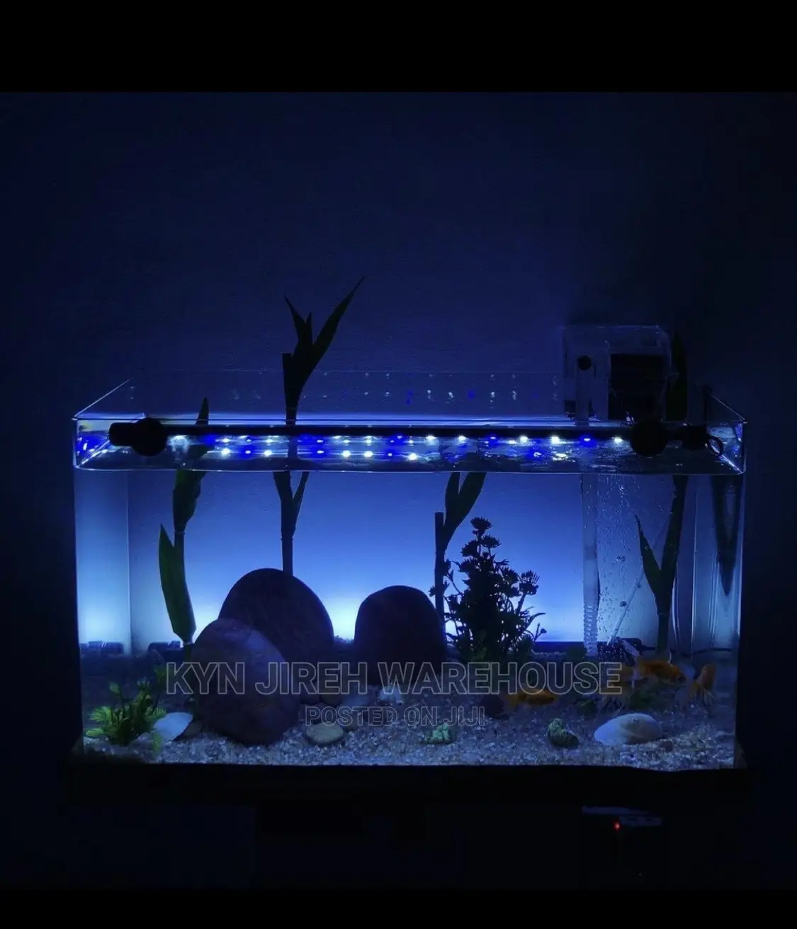 Tabletop Aquarium Setup With Fishes
