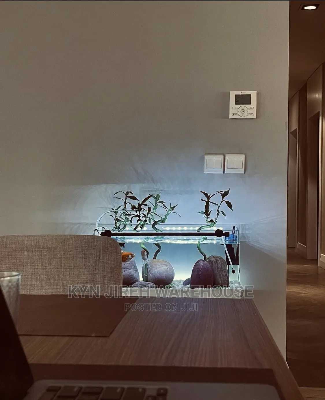 Lucky Tabletop Aquarium With Fishes