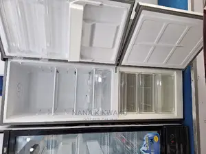 WD Pearl_pf405 Double Door Fridge