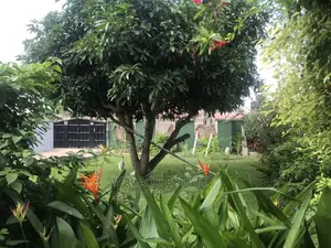 Furnished 3bdrm House in Walako Consult, Haatso for rent