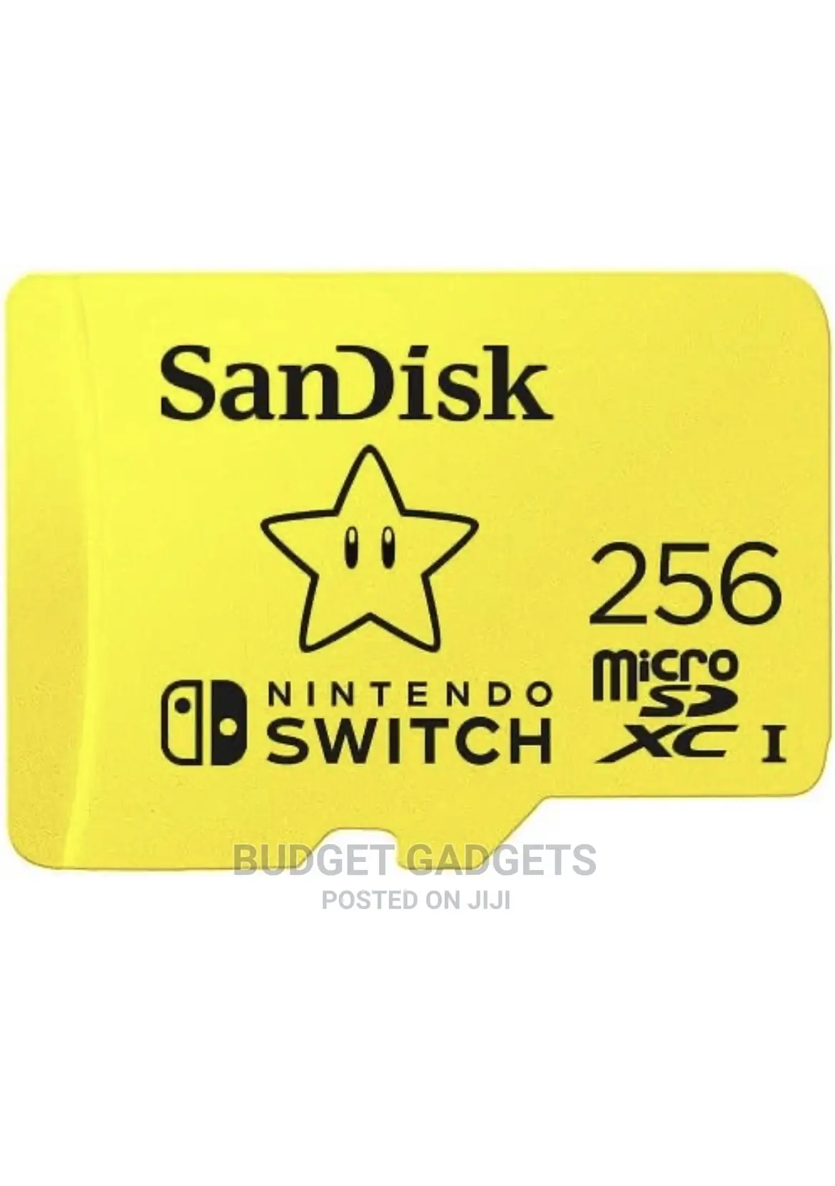 Nintendo Switch Memory Card