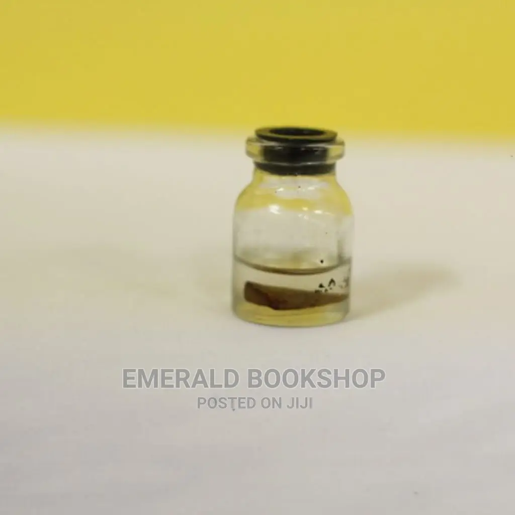 Delawrence Magical Stone