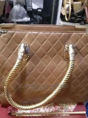 Brand New Bag With a Little Mark on the Side