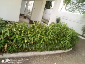 4bdrm House in Dzorwulu for sale