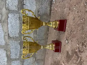 Original Medium Size Trophies at Cool Price