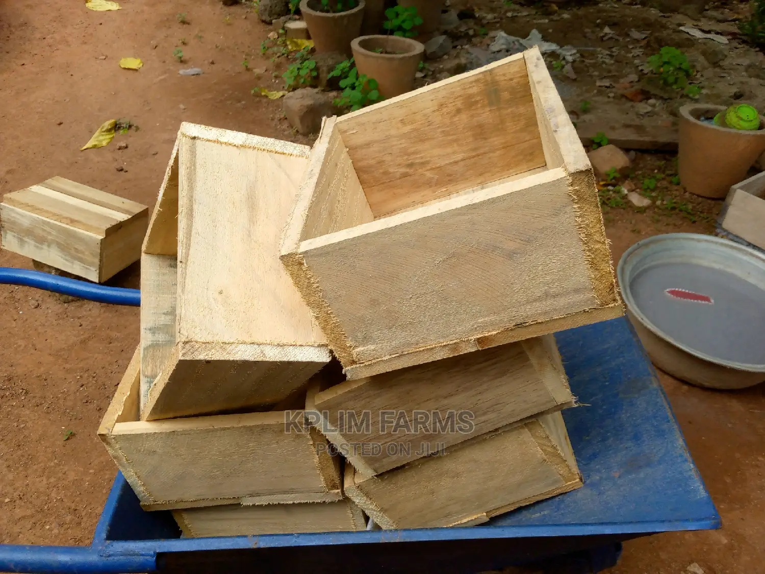 Rabbit Litter Boxes (Litter Boxes)