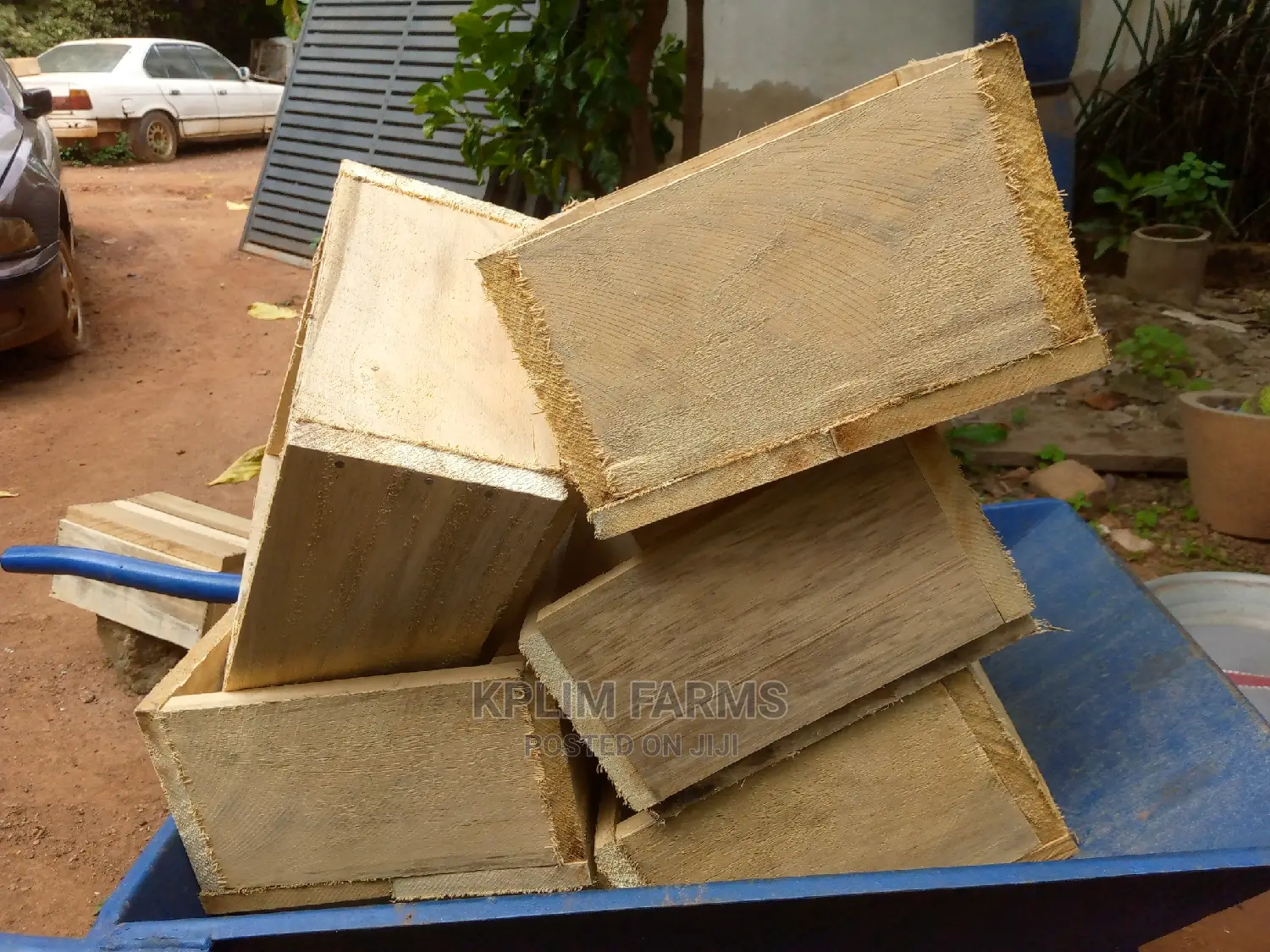Rabbit Litter Boxes (Litter Boxes)