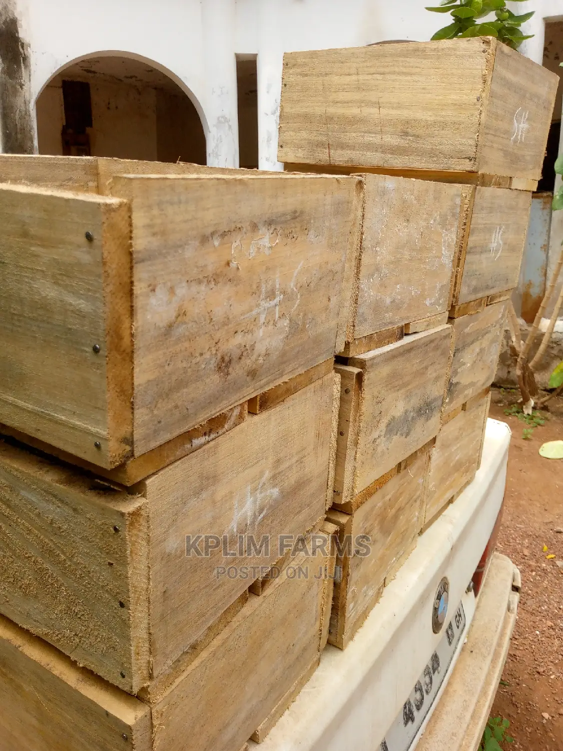 Rabbit Litter Boxes (Litter Boxes)