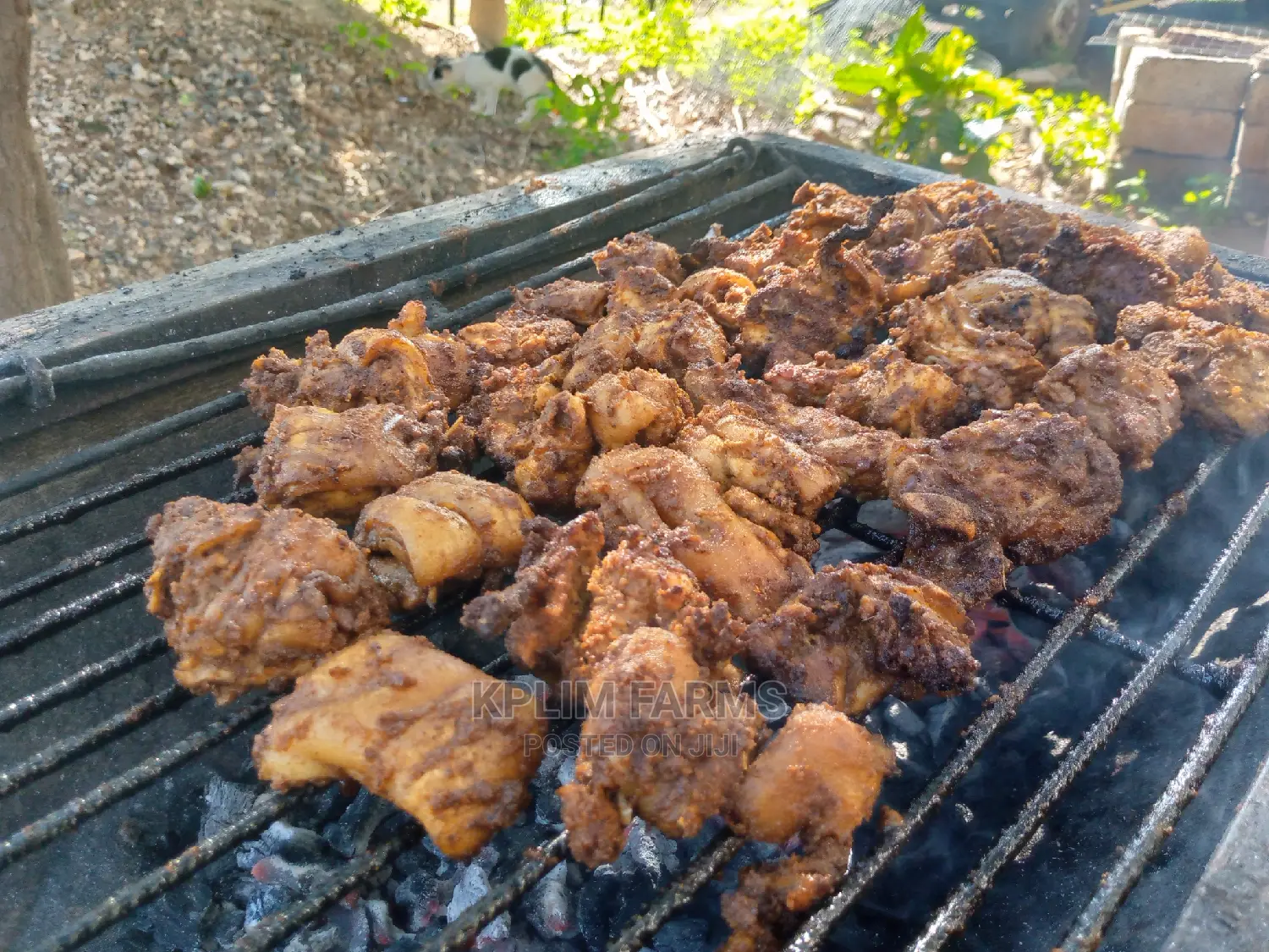 Grilled Rabbit Meat
