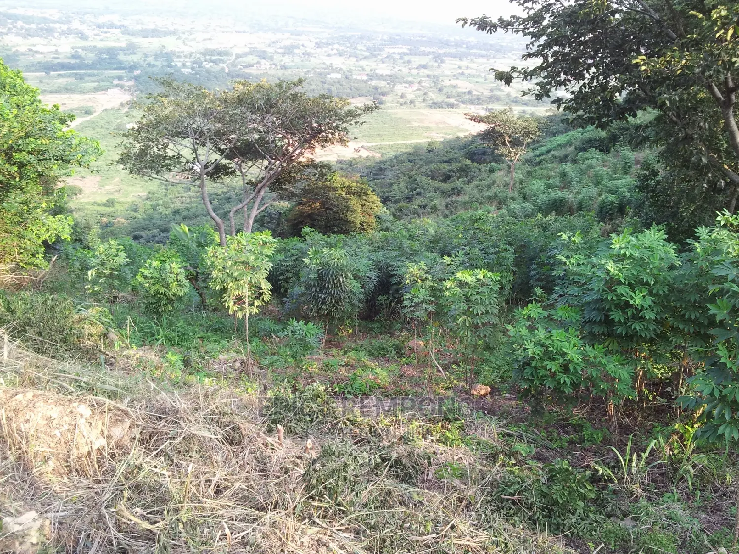 3 Plots Peduase Lodge Aburi