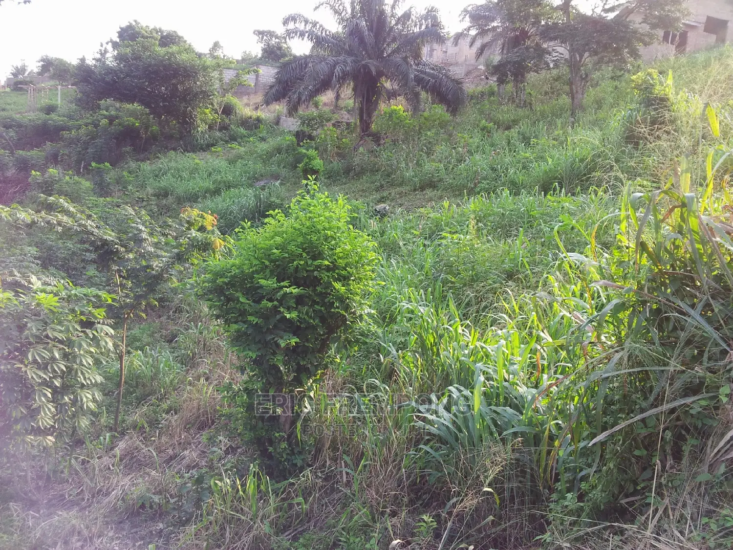 3 Plots Peduase Lodge Aburi