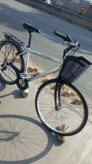 Perfect Mountain Carrier Bike