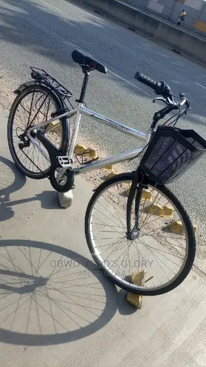 Perfect Mountain Carrier Bike