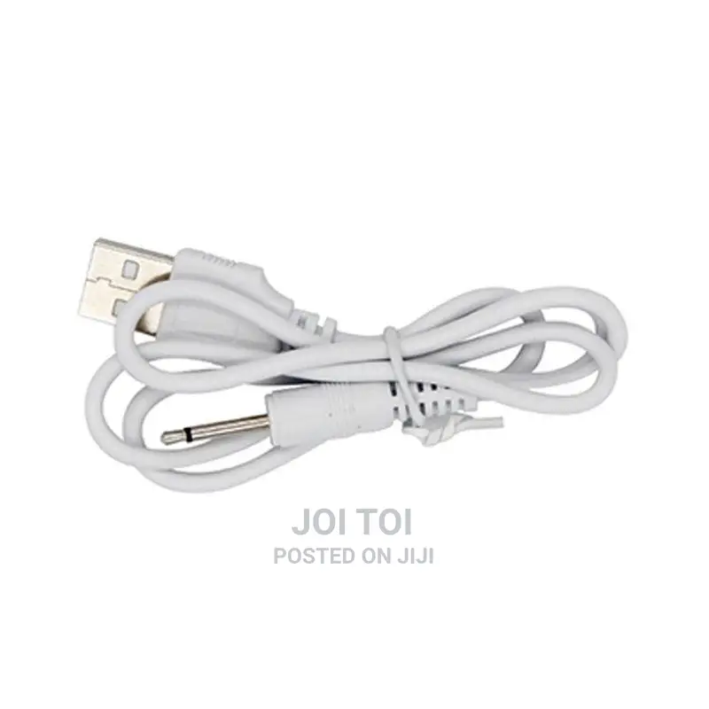 Vibrator Charger