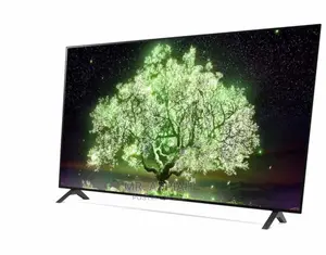 Budget-Friendly OLED 55” Smart Tv on Sale(OLED55A1PVA)