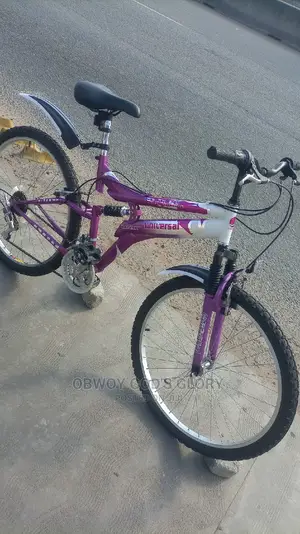 Love Spring Shocks Bike