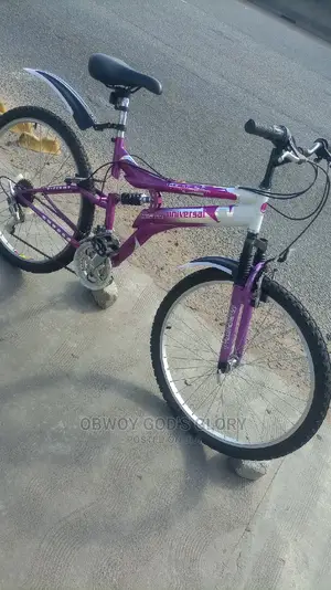 Love Spring Shocks Bike
