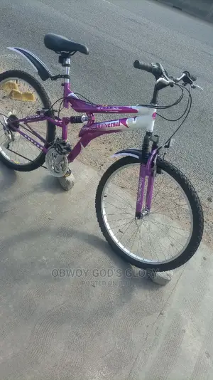 Love Spring Shocks Bike