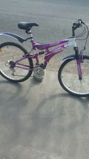 Love Spring Shocks Bike