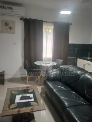 Luxury/Furnished Cham Hall Apt,Spintex