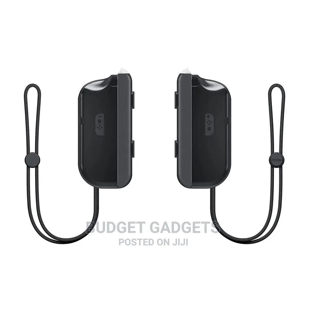 Nintendo Switch Joy-Con Battery Pack