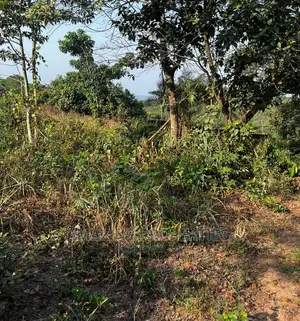 14 Acres of Land at Aburi