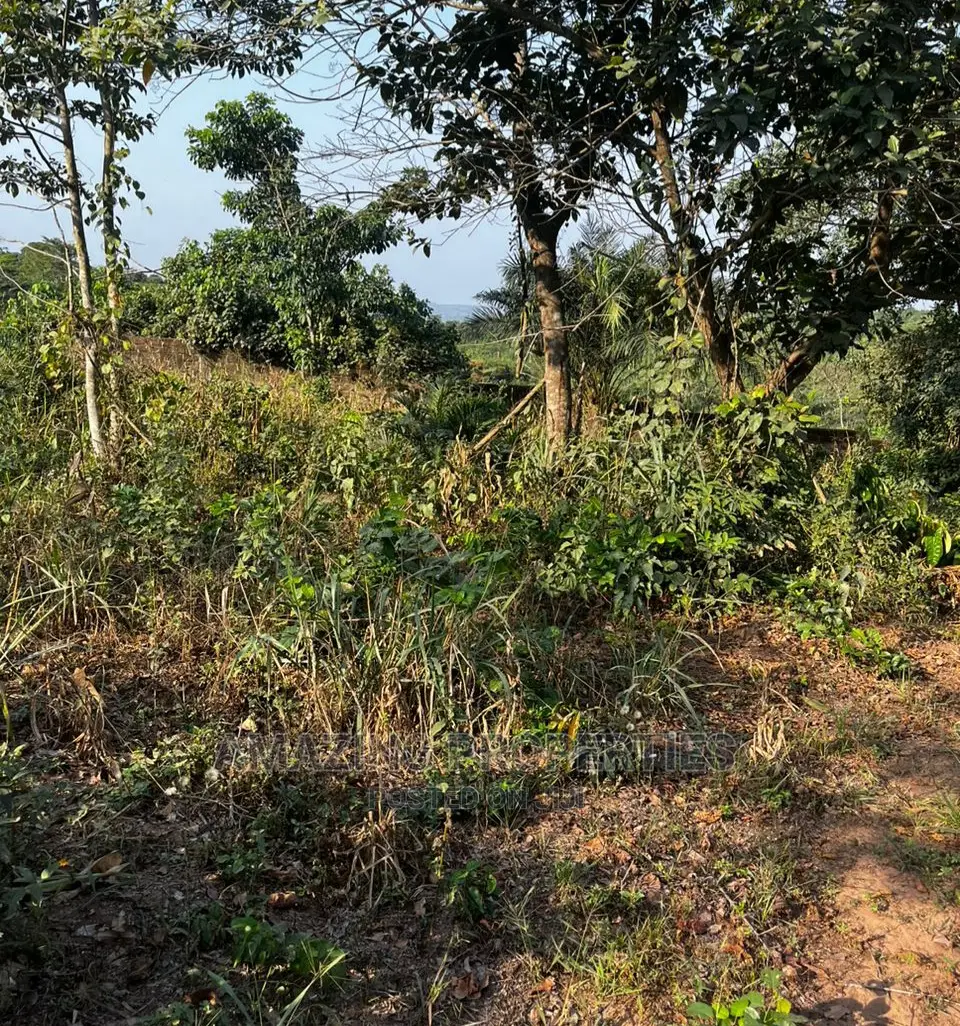 14 Acres of Land at Aburi