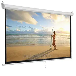 Manual Pull Down Projector Screen 243×243