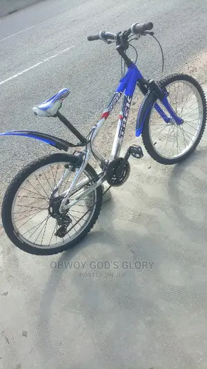 24 Fastest Mountain Bike