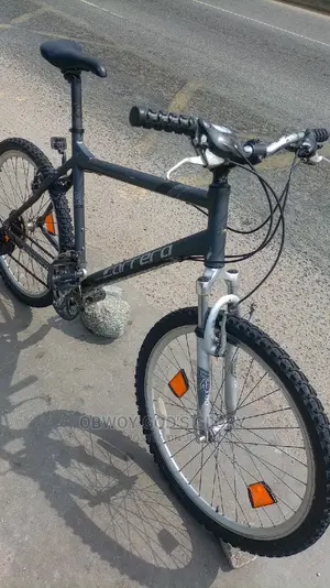 Power Giant Mountain Bike
