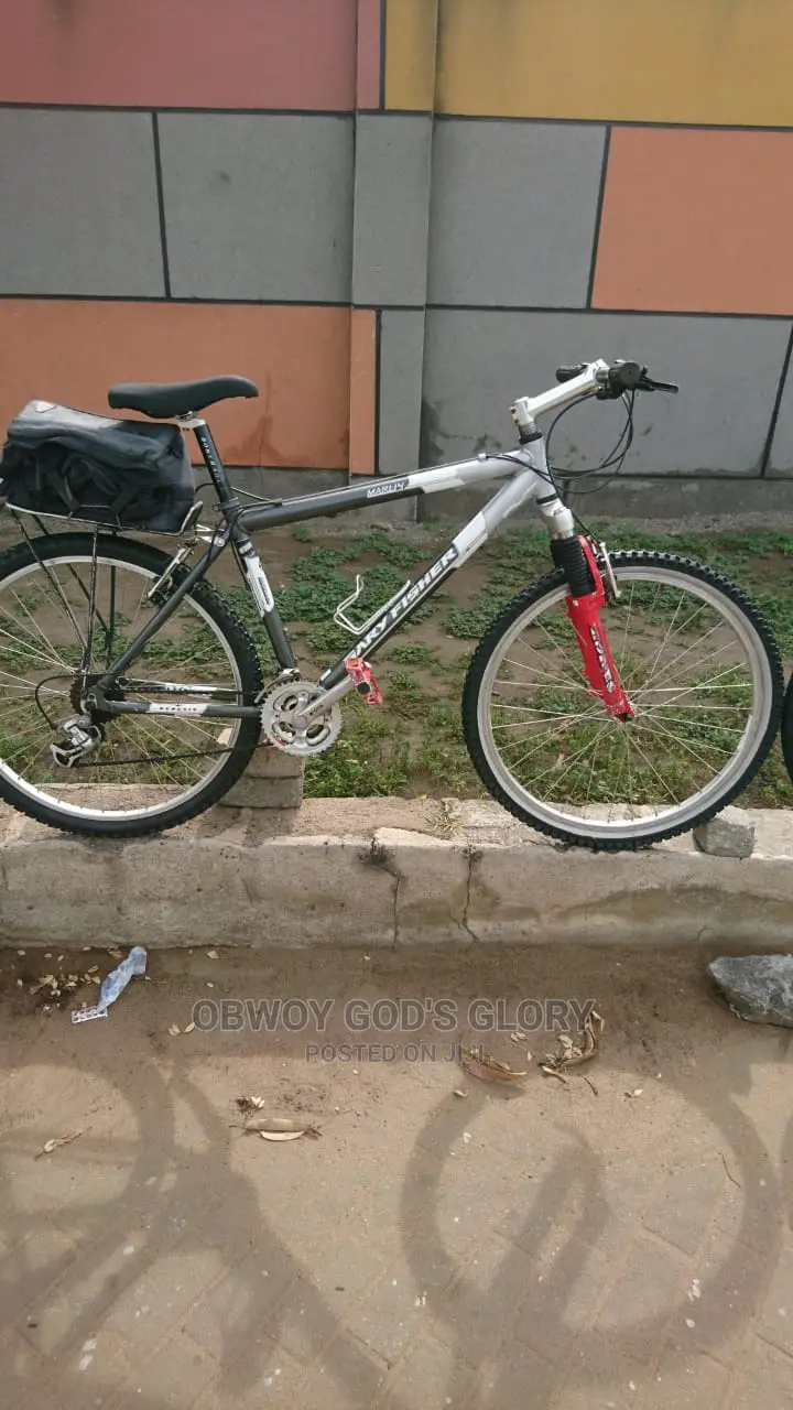 Power Carrier Mountain Bike