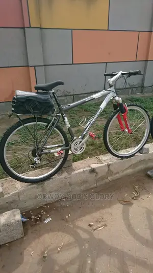 Power Carrier Mountain Bike