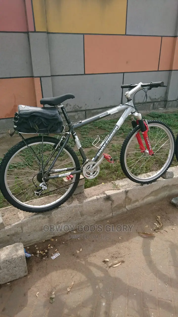 Power Carrier Mountain Bike