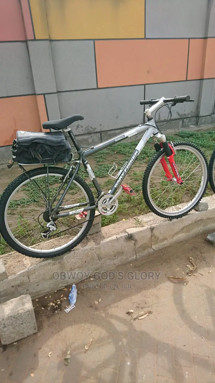 Power Carrier Mountain Bike