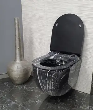 Concealed Wall Mounted Toilet Bowl - Hanging Wc