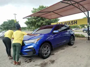 Professional Car Detailing Polishing