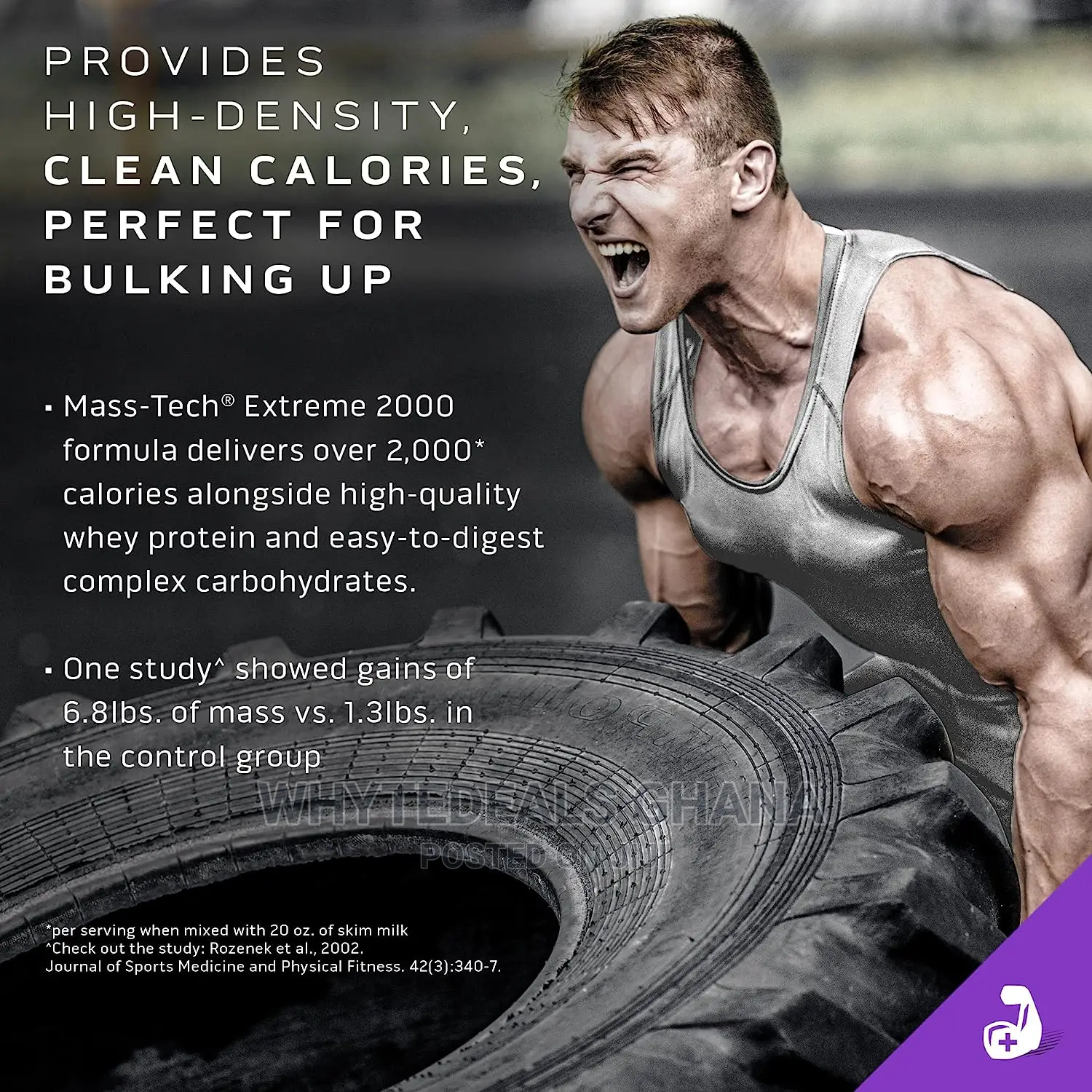 Mass-tech Extreme 2000 Muscle Builder Whey Protein 12lbs