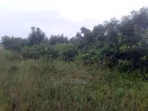 Farm Land for Sell at Asuboi