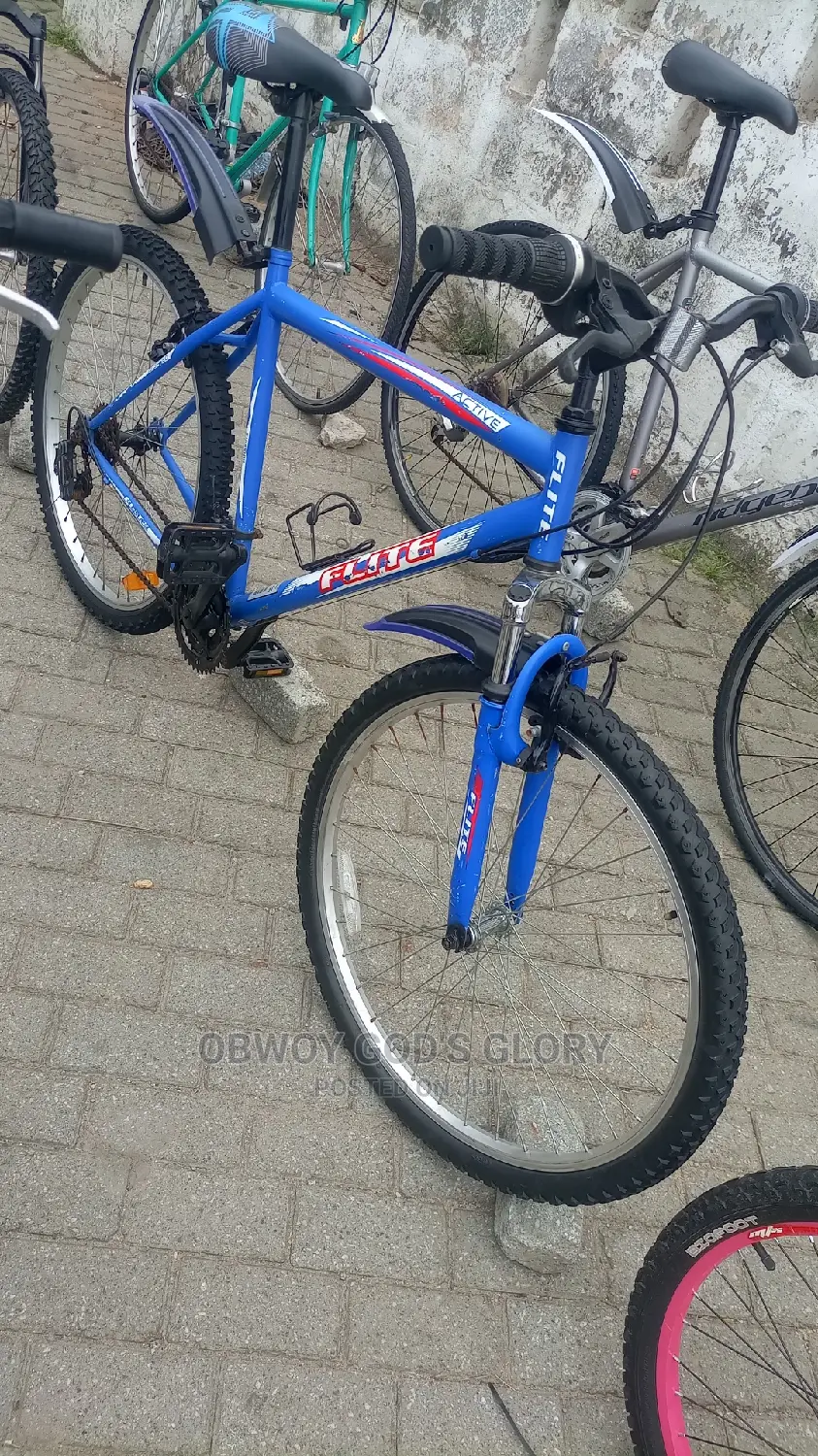 Blue Bike Mountain