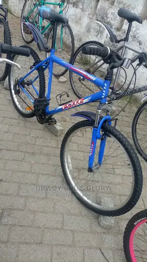Blue Bike Mountain