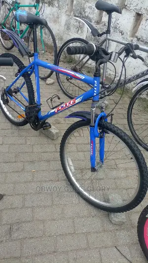 Blue Bike Mountain